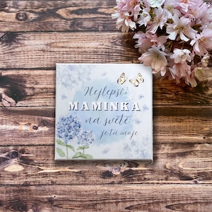 Magnetka 10